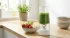 wisepim-sample-products-blender-2.webp